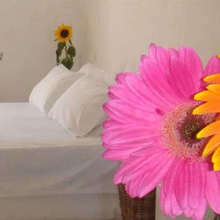 Hotel El Mar Kamari (Santorini)